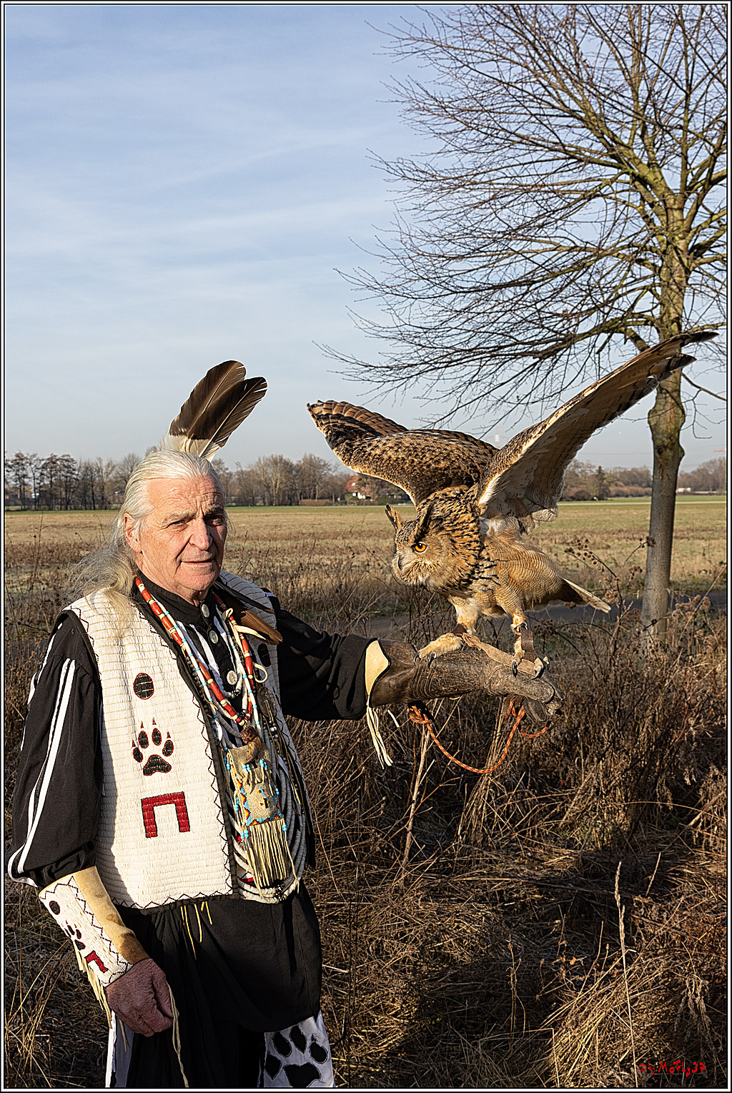 Cheyenne-Halbblut Hunting Wolf in der Falknerei Pierre Schmidt; Gymnich, 09.02.2023